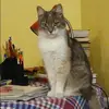 Отзыв от Наиля Троицкая